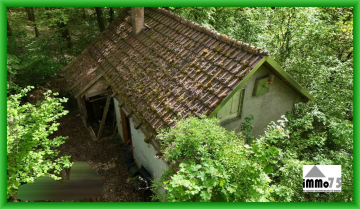 das Wochenendhaus im Wald, 75417 Mühlacker, Haus