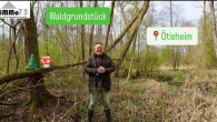 Waldgrundstück in Ötisheim – interessante Sachwertanlage für Kapitalanleger - Waldgrundstück