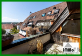 Maisonette mit Dachterrasse und privater Suite – Wohnen mit Charakter in Vaihingen an der Enz - Dachterrasse