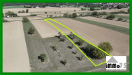 Landwirtschaftsfläche mit Acker- und Grünland in Ötisheim Gemarkung Klammenbaum - Drohnenaufnahme