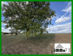 Landwirtschaftsfläche mit Acker- und Grünland in Ötisheim Gemarkung Klammenbaum - Baumbestand