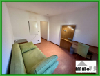 schönes, praktisches und möbliertes 1,5 Zimmer Appartement zu vermieten - Wohnzimmer 3