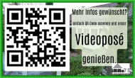 Ankommen, gestalten, wohlfühlen: Ein Einfamilienhaus in begehrter Wiernsheimer Wohnlage - QR Code zum Videoposé