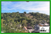 Wohnen, wo der Wein wächst: Haus mit überdachter Terrasse direkt an den Weinbergen - Aussicht