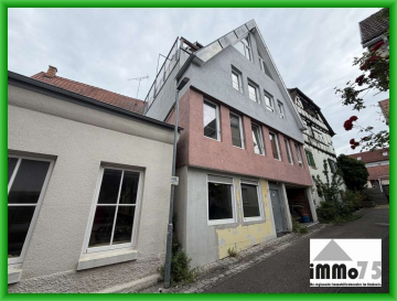 ein Haus für Macher. Ein Haus mit Perspektive. Ein Haus mit Entwicklungspotenzial, 71665 Vaihingen an der Enz, Mehrfamilienhaus