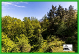 mehr als nur eine Wohnung: 3,5 Zimmer, zwei Balkone und ein Ausblick zum Verlieben - Aussicht von der Loggia